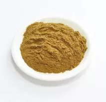 Сухой экстракт ревня (корень) (лат. Rheum officinale Baill)